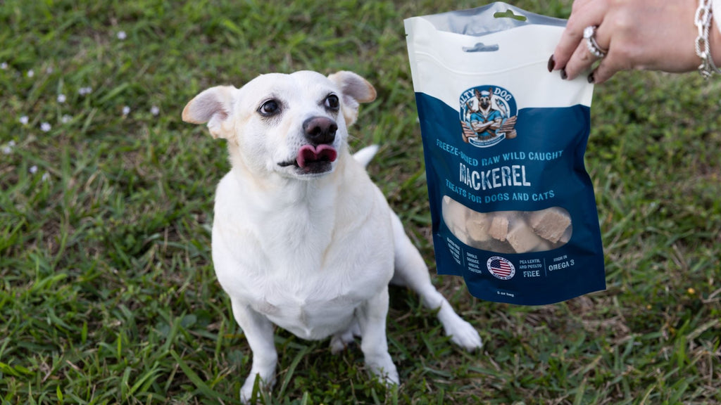 Are Bonito Cubes Safe for Dogs with Sensitive Stomachs?