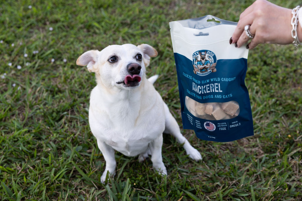 No Fridge Needed: The Easy, Healthy Way to Treat Your Dog with Mackerel