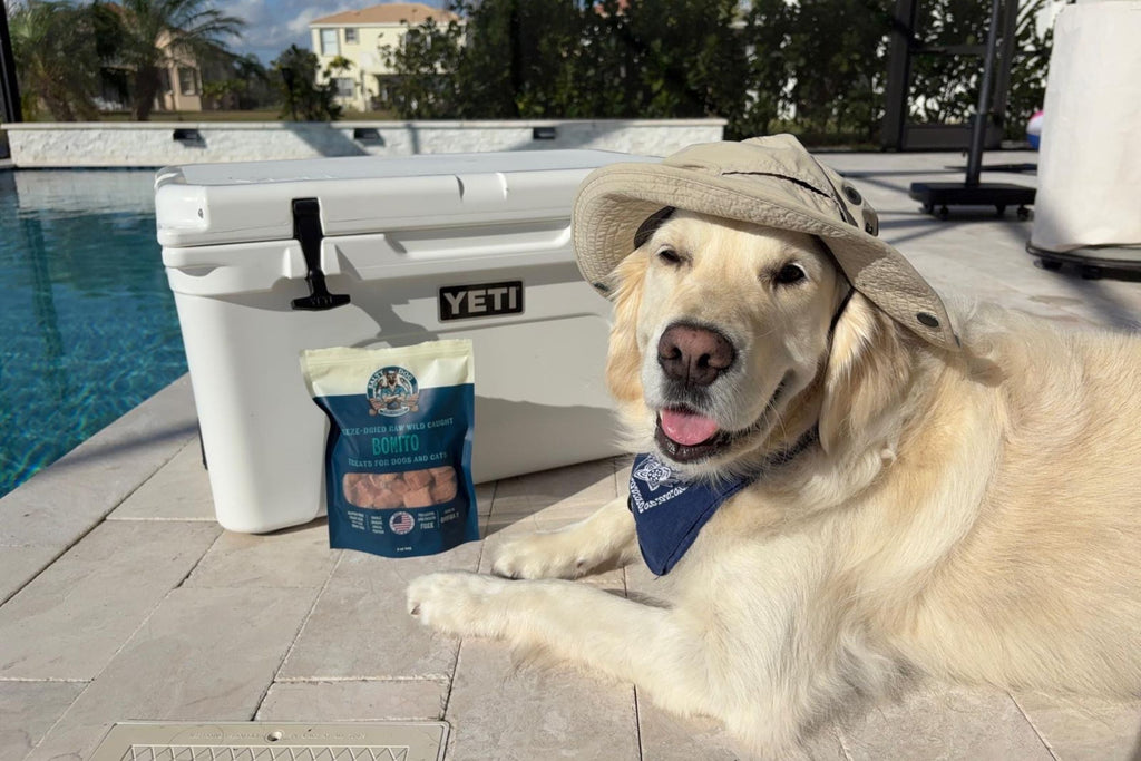 Bonito Cubes: Combining High Protein and Low Calories for Optimal Dog Health