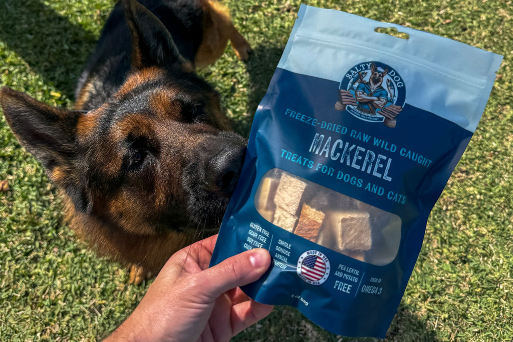 Hooked on Health: Why Mackerel Treats Are a Coastal Dog's Best Friend